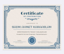 Fizyoterapist /Duyu Bütünleme Terapisti Sertifika