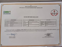 Çocuk Gelişimci/Özel Eğitim Alan Öğretmeni Sertifika