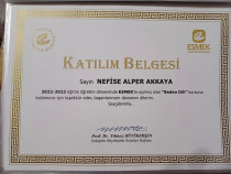 Çocuk Gelişimci/Özel Eğitim Alan Öğretmeni Sertifika