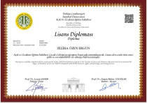 Çocuk Gelişimci/ Özel Eğitim Alan Öğretmeni Sertifika