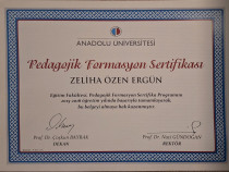 Çocuk Gelişimci/ Özel Eğitim Alan Öğretmeni Sertifika