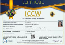 Çocuk Gelişimci/ Özel Eğitim Alan Öğretmeni Sertifika