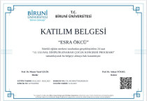 Çocuk Gelişimci/ Özel Eğitim Alan Öğretmeni Sertifika