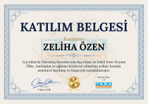 Çocuk Gelişimci/ Özel Eğitim Alan Öğretmeni Sertifika