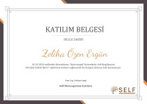 Çocuk Gelişimci/ Özel Eğitim Alan Öğretmeni Sertifika