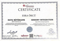 Çocuk Gelişimci/ Özel Eğitim Alan Öğretmeni Sertifika